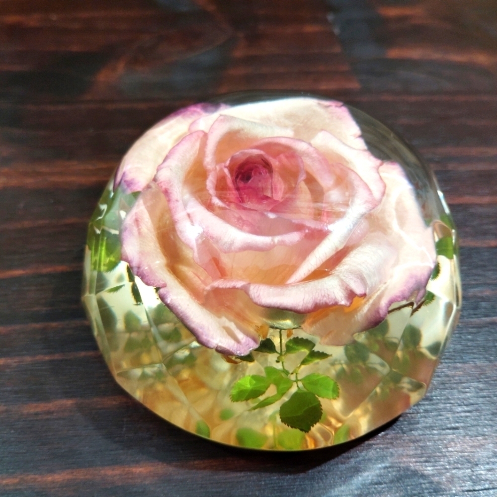 Vintage Rolfe Signed Rose Paperweight Real Flower Preserved Lucite Acrylic Facet - Picture 9 of 15